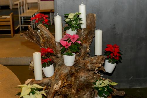 Vorbereitung 055 2437 web